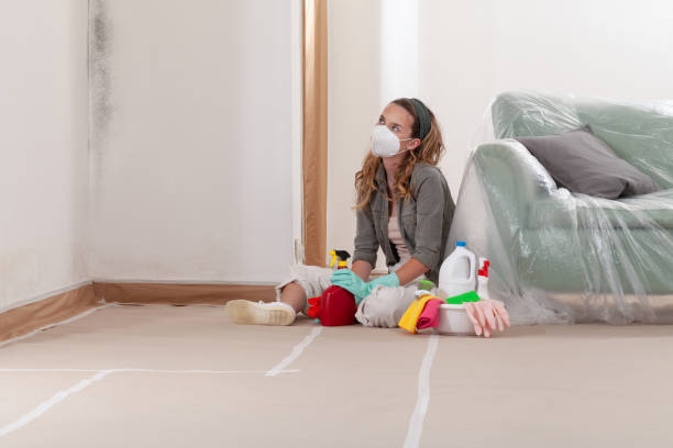 Reliable Mold Inspection contractor in Columbus, NJ by WQB Mold Removal