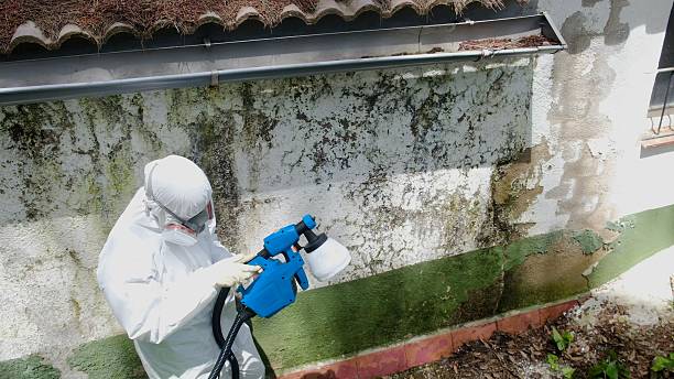 Top rated local Mold Inspection specialists in Columbus, NJ